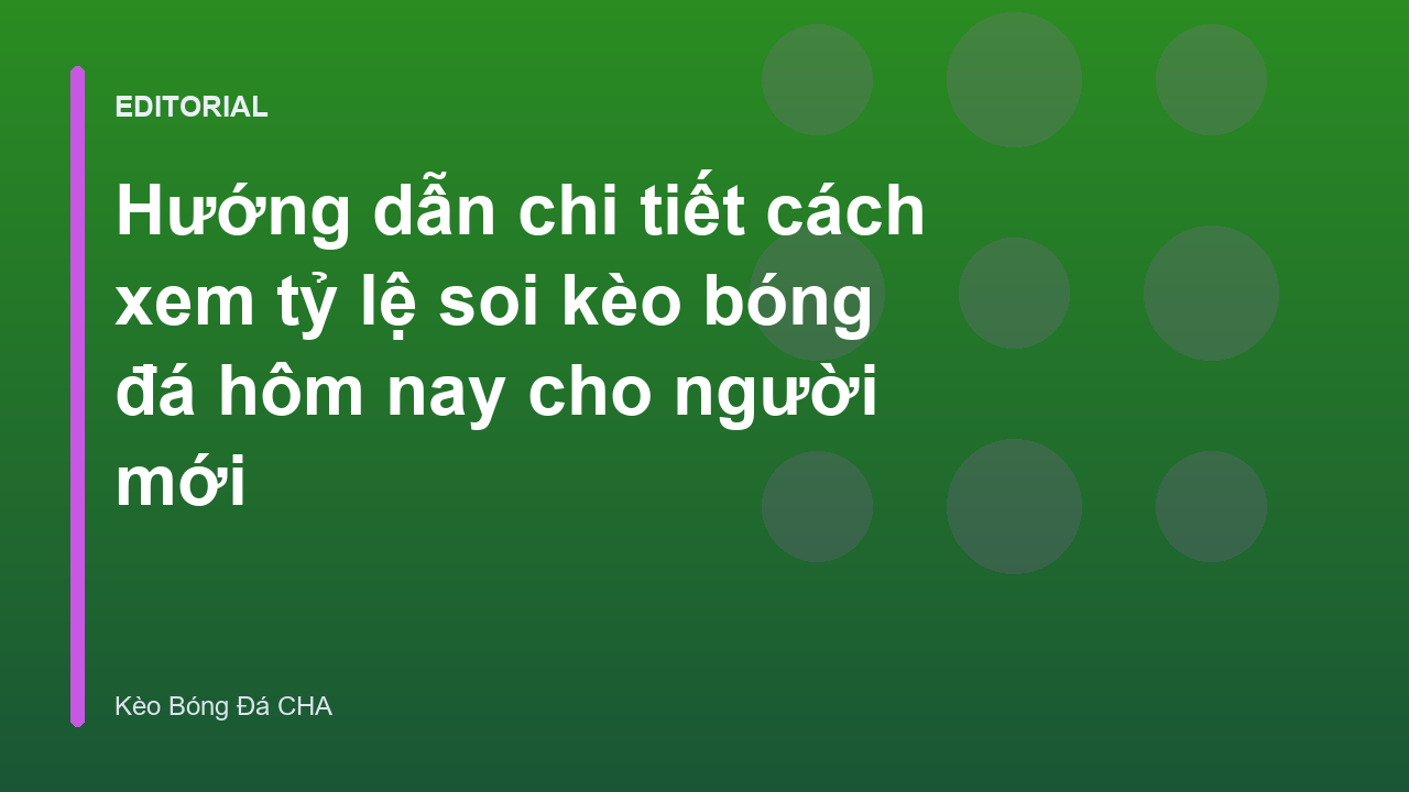 Người mới tìm hiểu cách xem tỷ lệ soi kèo bóng đá hôm nay